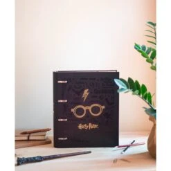 HARRY POTTER - Vif D'Or - Classeur 4 Anneaux '32x27.5cm'