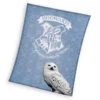 HARRY POTTER - Hedwig - Plaid Polaire 100% Polyester '130x170cm'