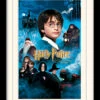 PYRAMID HARRY POTTER - Mounted & Framed 30X40 Print - Philosophers Stone