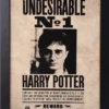 Gb Eye HARRY POTTER - Indésirable N°1 - Collector Print '30x40cm'
