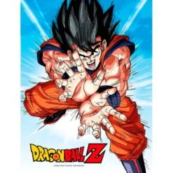 SD Toys DRAGON BALL - Impression En Verre - Goku Kame - 30X40 Cm