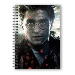SD Toys HARRY POTTER - Effet 3D Visage D'Harry Potter - Cahier