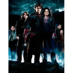 SD Toys HARRY POTTER - Impression En Verre - Group HP4 - 30X40 Cm