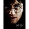 SD Toys HARRY POTTER - Impression En Verre - Harry Face- 30X40 Cm