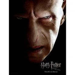 SD Toys HARRY POTTER - Impression En Verre - Voldemort Face- 30X40 Cm