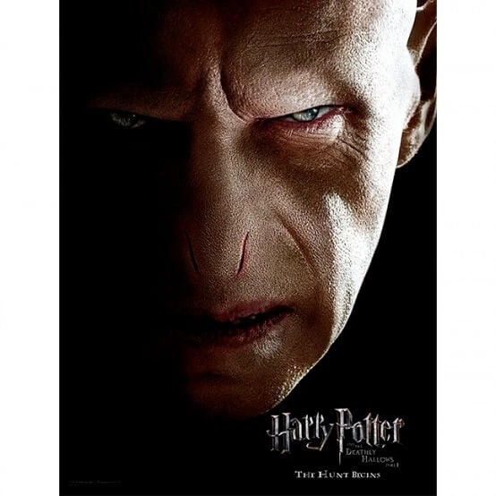 SD Toys HARRY POTTER - Impression En Verre - Voldemort Face- 30X40 Cm 1 SD Toys HARRY POTTER - Impression En Verre - Voldemort Face- 30X40 Cm